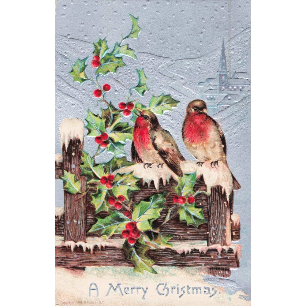 Christmas Postcard P Sander NY 1906 Robins Birds Holly Fence Winter Embossed